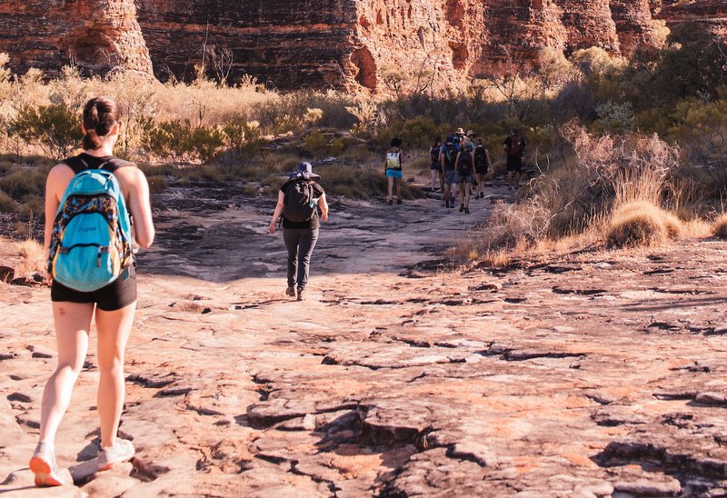 Plan member experiences outside the gym